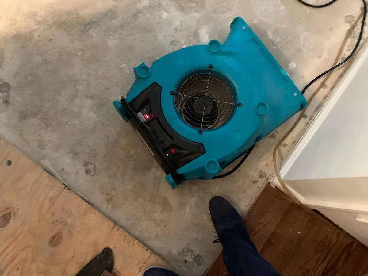 Air mover drying subfloor during Commercial Water Damage Restoration in Orangetree